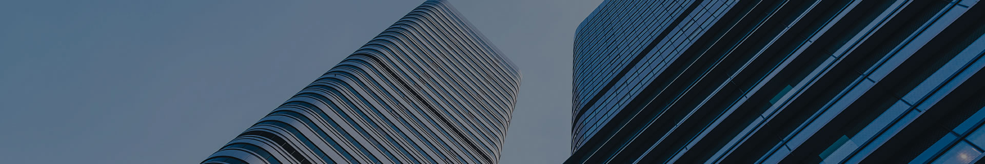 About Us - WPPOP International Trading Co., Ltd.